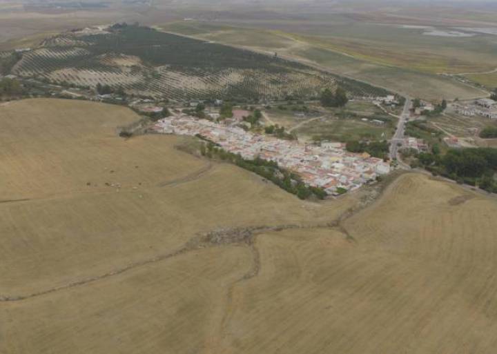 2.300 años de historia bajo un trigal 2.300 años de historia bajo un trigal