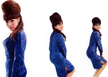 Ronnie Spector, superviviente Ronnie Spector, superviviente
