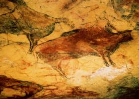 “Sarabuca de rabo de cuca”