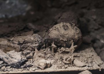 Imagen de una de las 17 momias halladas en el centro de Egipto.
