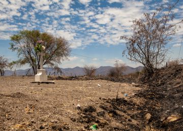 El Jalisco agonizante de Juan Rulfo El Jalisco agonizante de Juan Rulfo