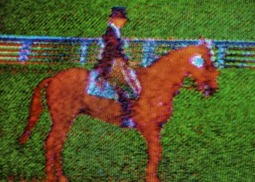 Por qué Caperucita era roja y otros misterios de los colores Por qué Caperucita era roja y otros misterios de los colores