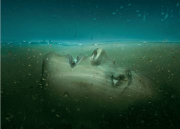 Stana Katic vuelve a perseguir a los malos en ‘Absentia’ Stana Katic vuelve a perseguir a los malos en ‘Absentia’