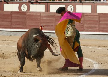 La corrida (Miura) del deshonor