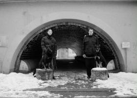 “Aunque fracasen, lo que necesitamos son soñadores”