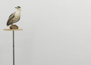 Pájaros y servilletas cóctel Pájaros y servilletas cóctel