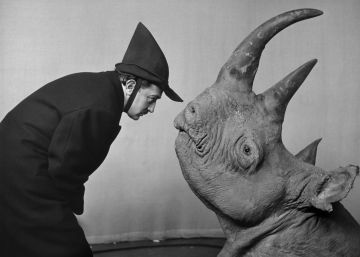 Dalí, el ADN y el cuerno de rinoceronte Dalí, el ADN y el cuerno de rinoceronte
