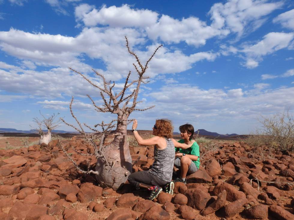 Una familia de aventureros con ‘Espíritu salvaje’