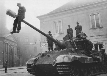 Los hipopótamos de la batalla de Budapest