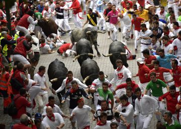 Los toros de la ganadería Miura durante el octavo encierro de San Fermín.