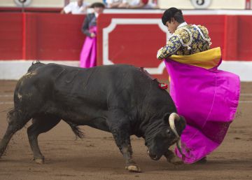 El Gobierno recurrirá ante el Constitucional la ley balear sobre los toros El Gobierno recurrirá ante el Constitucional la ley balear sobre los toros