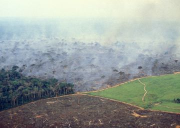 ¿Adiós naturaleza salvaje? ¿Adiós naturaleza salvaje?