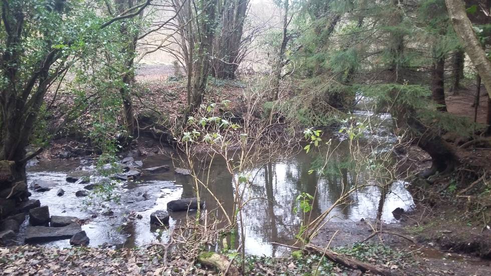 En la tercera temporada se han utilizado también algunas localizaciones en los alrededores de Midhope Castle, como una cueva en la que se esconde Jamie o esta zona boscosa.