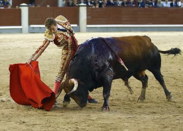 Román, un fallido derroche de entrega