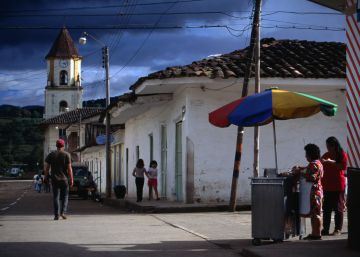 La carne de la orquídea La carne de la orquídea