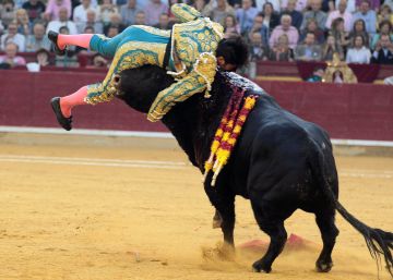 Dos orejas y grave cornada con tres trayectorias para Cayetano