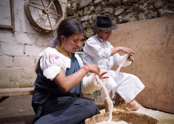 Maestra del trazo único