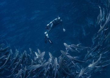 O dia que Jacques Cousteau deixou o cilindro de oxigênio no barco