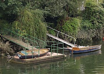 La bella salvaje
