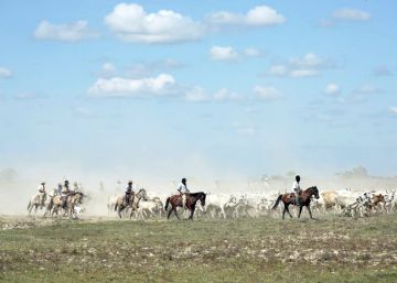 Los cantos de los Llanos de Colombia y Venezuela, Patrimonio Inmaterial de la Humanidad por la Unesco