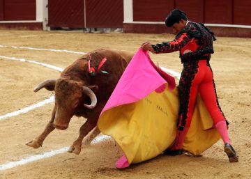 La Corte Constitucional de Colombia anula la consulta antitaurina de Bogotá