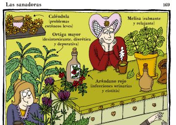 Un mundo de plantas voraces, viajeras, malolientes