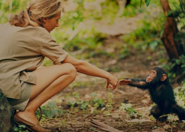 El documental más íntimo de Jane Goodall