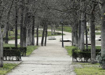 Del amor y la desgracia