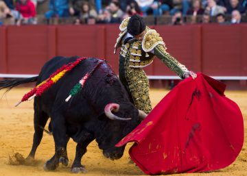¿Dónde está la pasión juvenil?