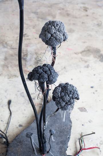 'Cerebrum asphaltum', de Kristof Kintera.