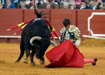 Julián y el hermano toro