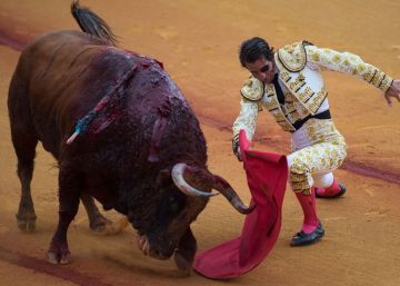 No hay perdón para Padilla