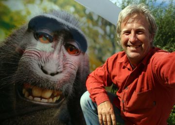 El macaco ‘Naruto’ no puede reclamar los derechos de autor de su ‘selfie’