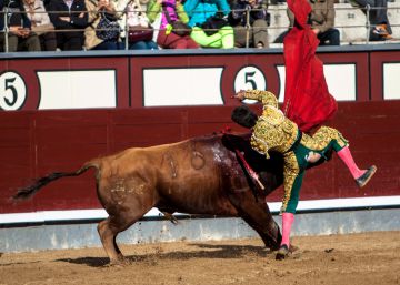 García Navarrete vuelve a Las Ventas y cae herido de nuevo