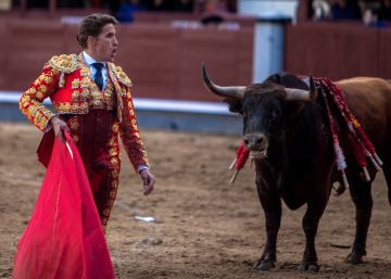 Morante dará la alternativa a Diego Carretero en la feria de Alicante