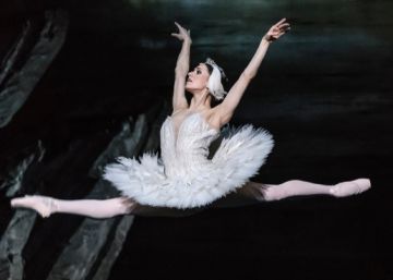 ‘El lago de los cisnes’ pule su plumaje en Covent Garden