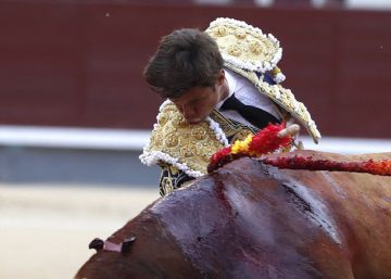 ‘Licenciado’, hermano de ‘Orgullito’