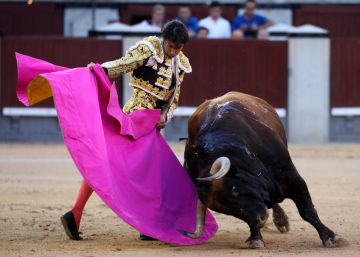 Una bellísima trincherilla