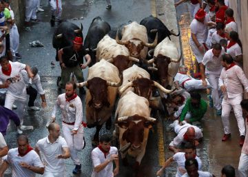 Corredores y toros de la ganadería de José Escolar Gil, este domingo en el segundo encierro de los Sanfermines.