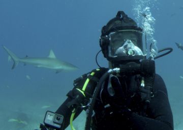 Entre tiburones hambrientos en el triángulo de las Bermudas