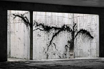 Shadow Line V