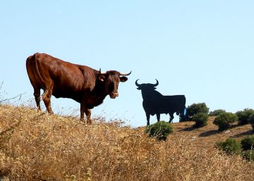 ¿Cuántos toros de Osborne hay en España?
