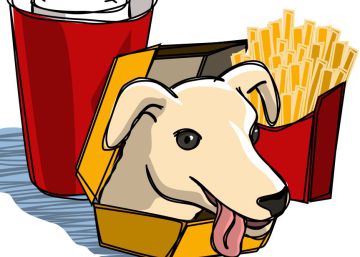 Un perro