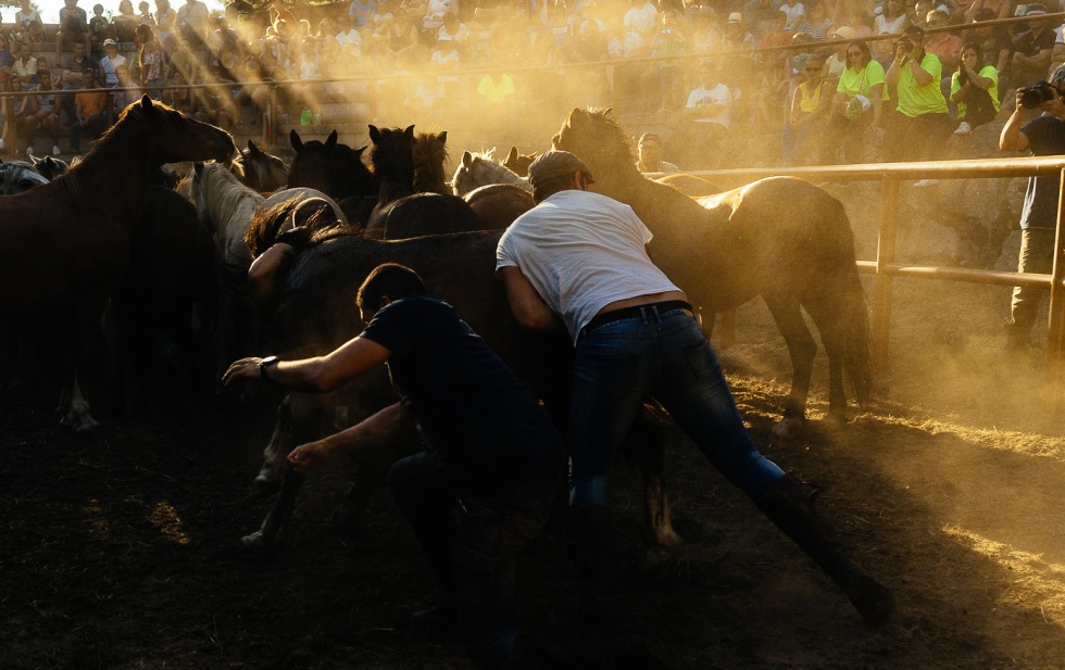 El cine en gallego cabalga en Locarno