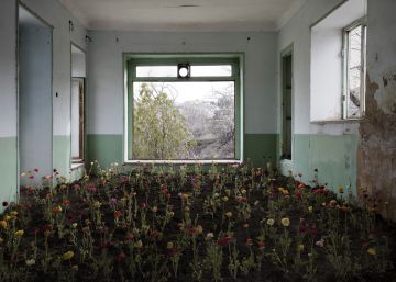 Getxophoto: El diálogo después del conflicto