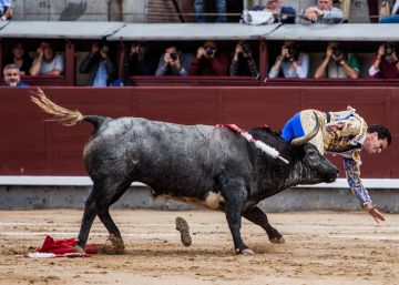 Gravísima cornada a Rubén Pinar en el cierre de la temporada en Madrid