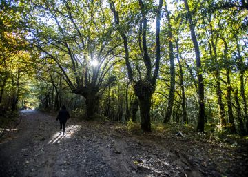 Un órgano asesor de la Unesco alerta contra una mina de cobre junto al Camino de Santiago
