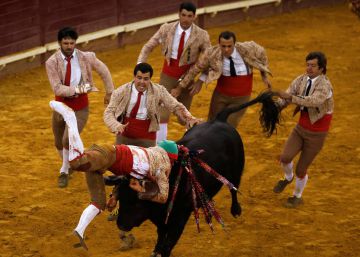El IVA de los toros crea un cisma en el partido socialista portugués