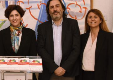 La mitad de los niños de nueve a 13 años sabe diferenciar contenidos legales y piratas