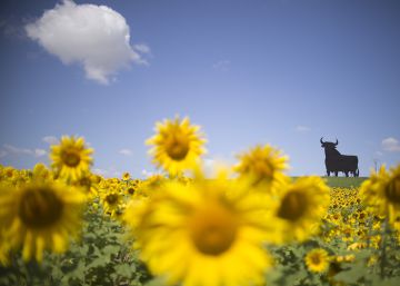 Suprimir los toros o abandonarlos a su suerte, esa es la gran cuestión